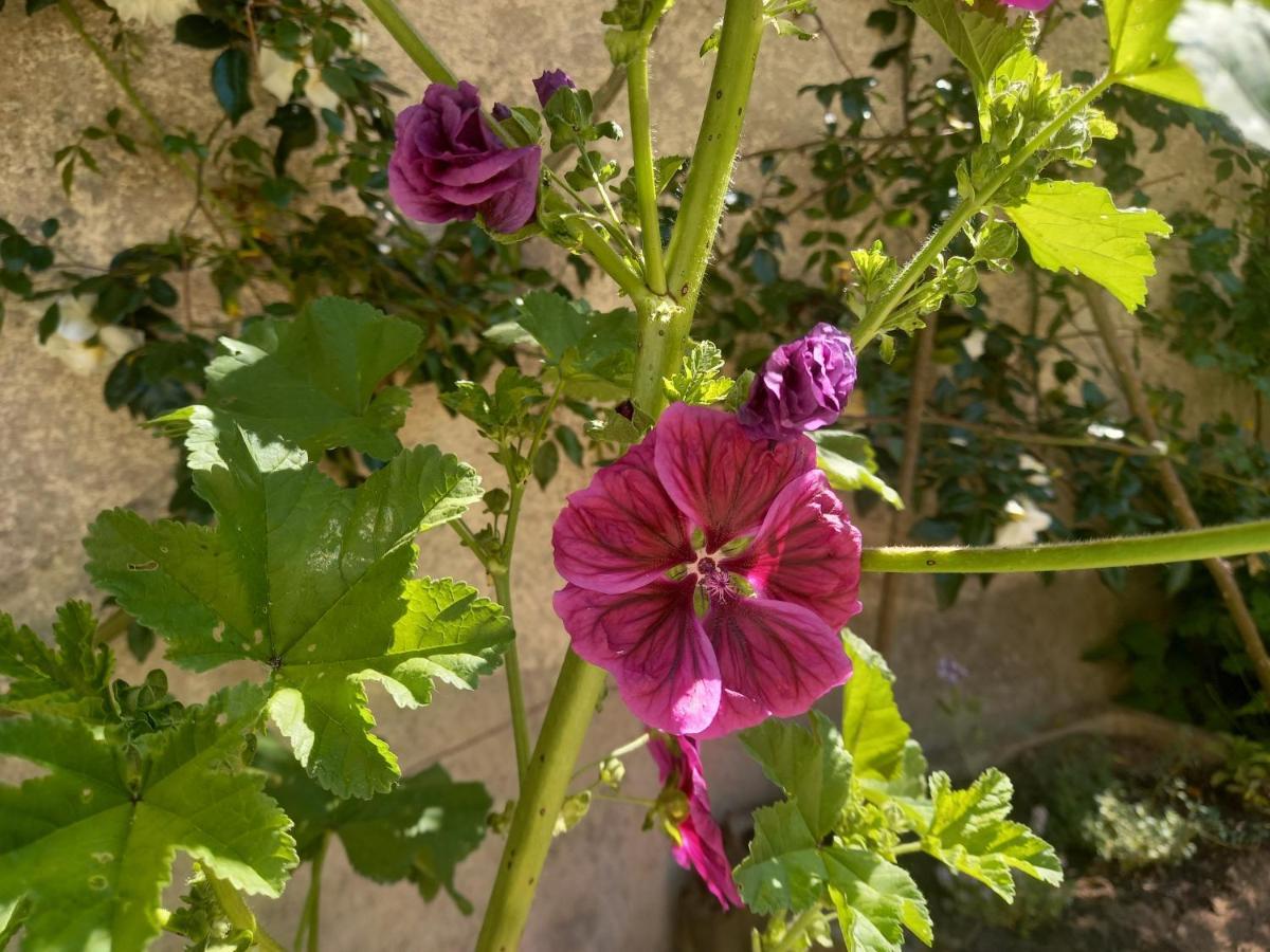 Maison Violette En Berry Aigurande Ngoại thất bức ảnh